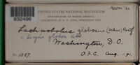 Image Associated With the Occurence